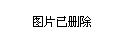 历史回顾与意义解析