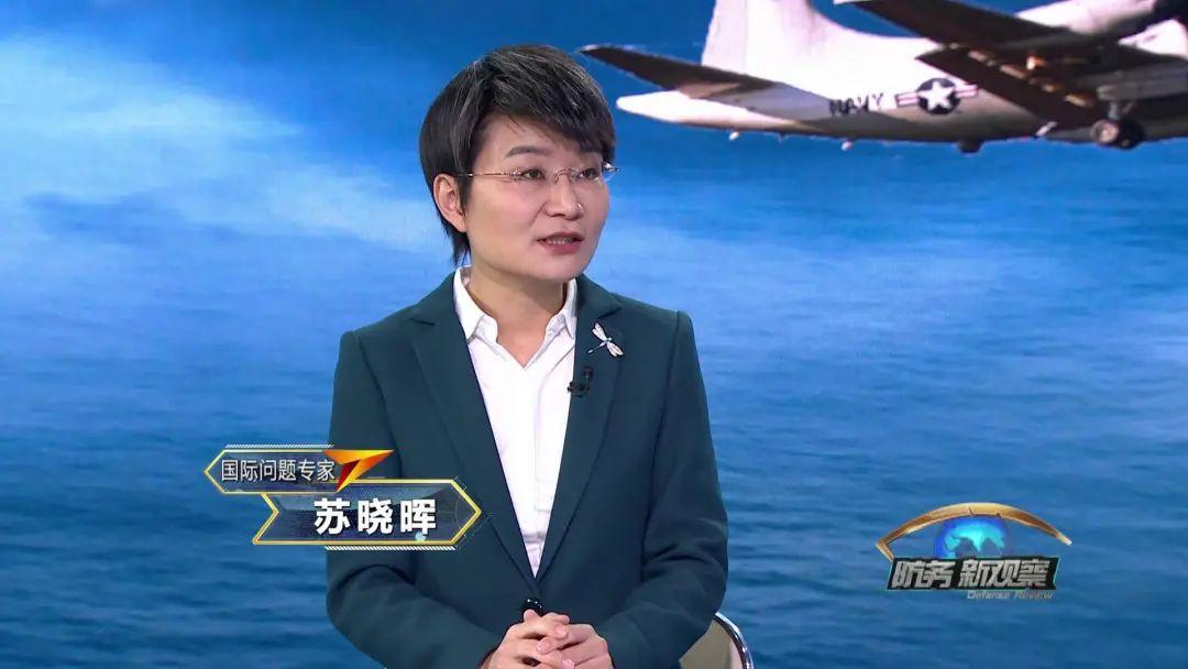军事评论家苏晓辉个人简介，军事评论家苏晓辉的生平概览