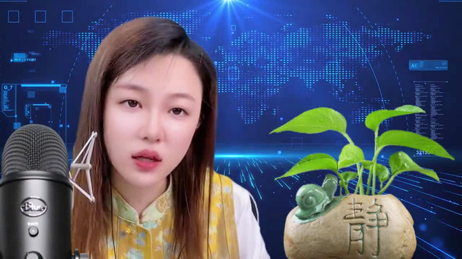 国际观察下的苏琳，一位跨越文化的观察者与实践者，苏琳，国际视角下的跨文化观察者与实践者