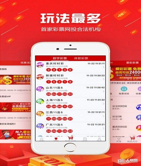 关于肖氏编码与二码默认版的探讨，肖氏编码与二码默认版深度解析