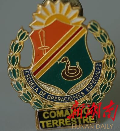 猎人学校毕业勋章，荣耀与成长的象征，猎人学校毕业勋章，荣耀之巅与成长之路的里程碑