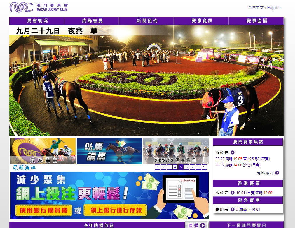 澳门赛马会资料最准一码，深度解析与预测，澳门赛马会资料解析与一码精准预测
