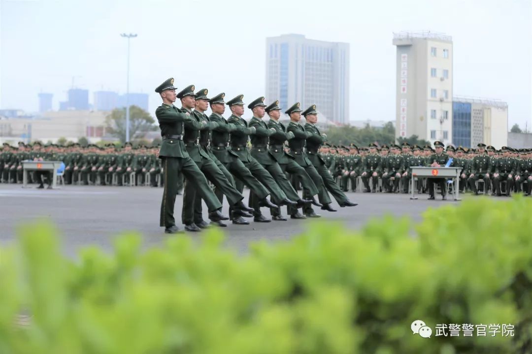 武警学校，军校还是警校？解析其独特性质与定位，武警学校、军校与警校，解析其独特性质与定位差异