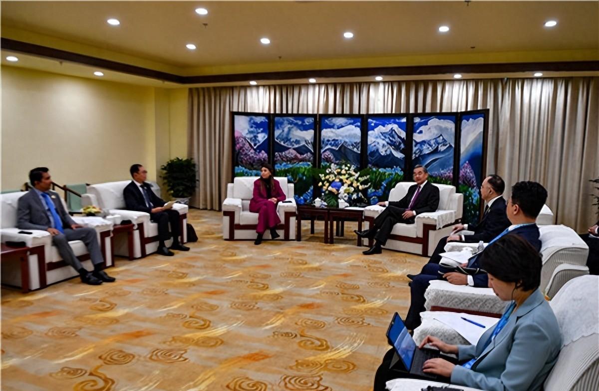 中印边境驻军对比研究，中印边境驻军对比研究，实力分析与战略洞察