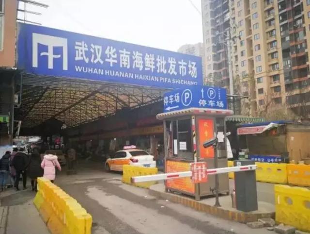创业历程与经营之道