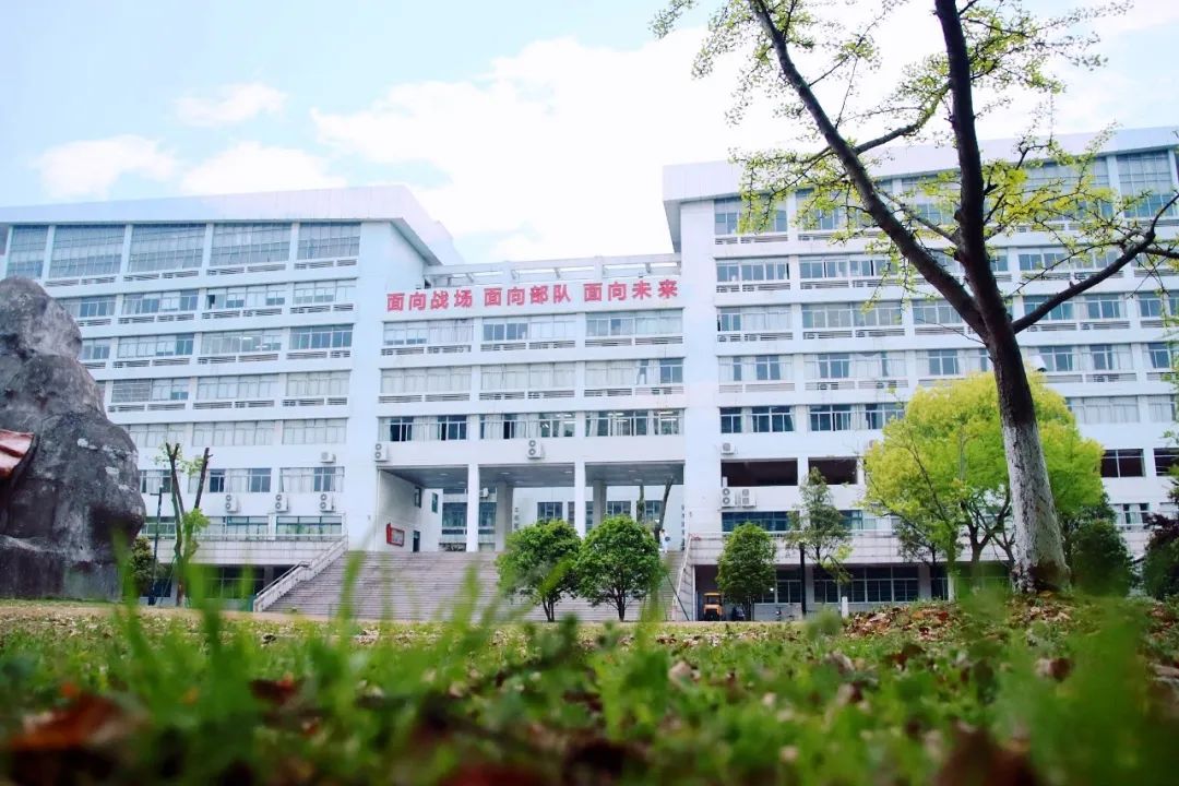 武警海警学院院徽，象征荣耀与担当的徽章，武警海警学院院徽，荣耀与担当的象征