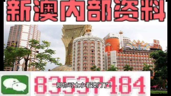 澳门免费资料大全精准版853，深度解析澳门各类免费资料的重要性与实用性，澳门免费资料大全深度解析，重要性与实用性的精准版探索（853）