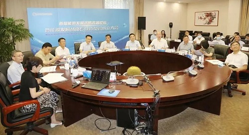 中国发展战略学研究会，探索与引领未来之路，中国发展战略学研究会，探索引领未来之路的方向与策略