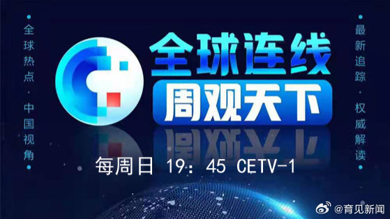 天谁论坛国际观察，多元视角解读全球动态，多元视角下的全球动态深度解读，天谁论坛国际观察报告