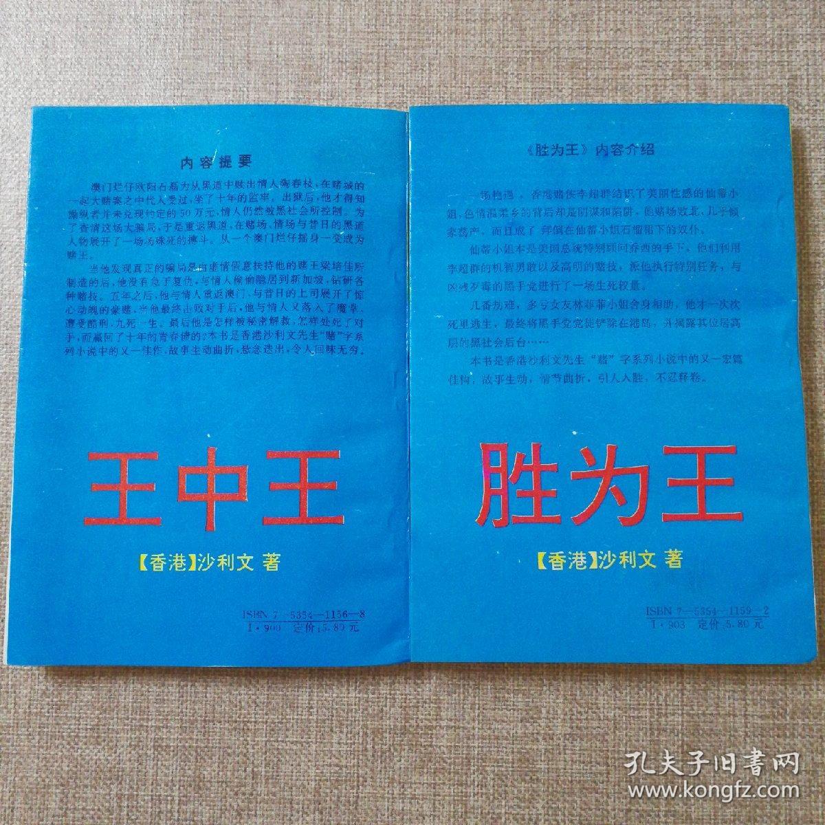 王中王资料一肖持，深度解析与探讨，王中王资料一肖持深度解析与探讨