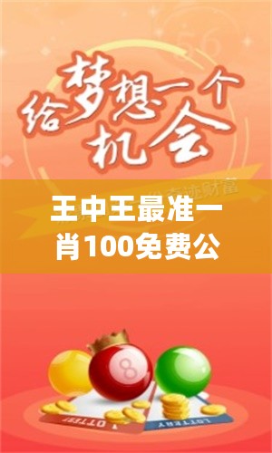 王中王中一肖吗——探寻背后的故事与意义，王中王背后的故事与意义探寻之路