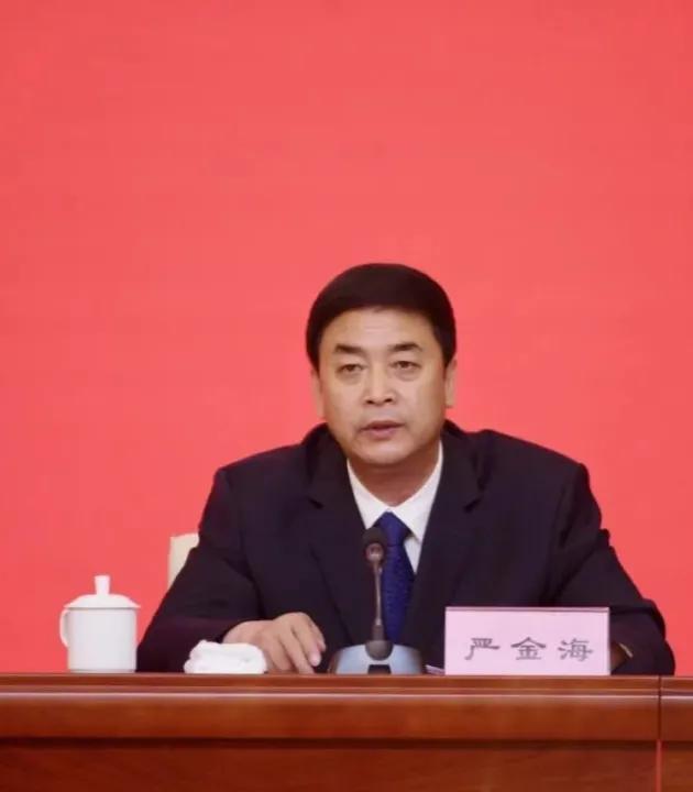 中央常务委员名单七人简历，新时代领导集体的力量，中央常务委员七人名单及简历，新时代领导集体的力量与担当