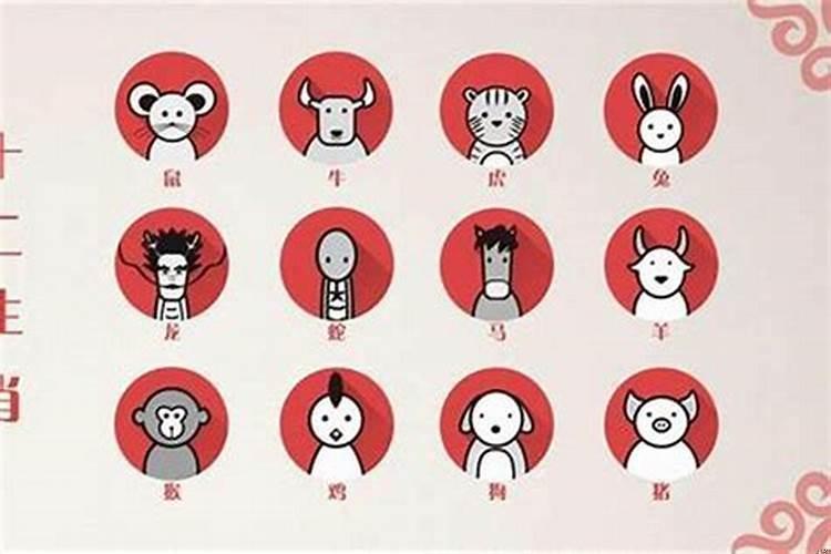 一肖二肖是什么意思，一肖二肖的含义解析