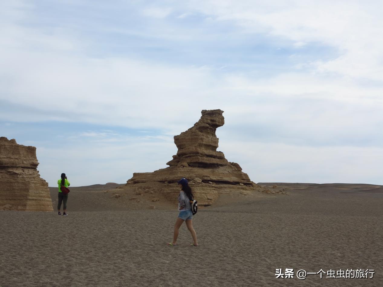 中国海军西海舰队的崛起与贡献，中国海军西海舰队的崛起及其卓越贡献