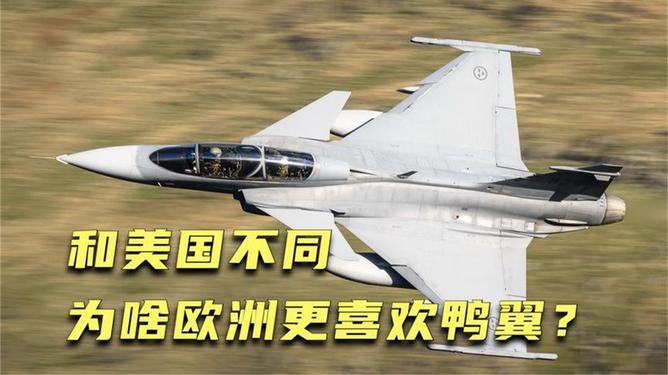 美国战机为何弃用鸭翼，设计与战略考量，美国战机弃用鸭翼，设计与战略考量分析