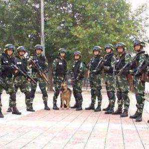 中国人民武装警察部队特种警察学院录取分数解析，中国人民武装警察部队特种警察学院录取分数详解