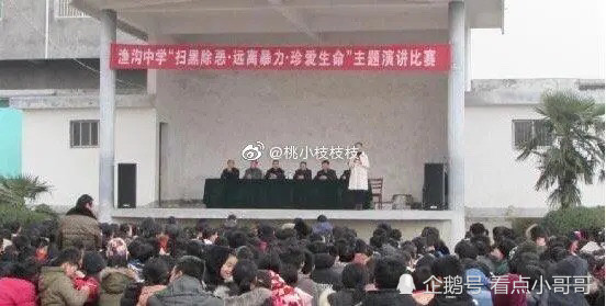 天涯论坛关于安徽灵璧县中学事件的深度探讨，安徽灵璧中学事件深度解析，天涯论坛热议的背后