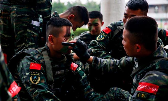 武警特战，技术兵的卓越代表还是战斗精英的典范？，武警特战，技术精英与战斗典范的交融展现
