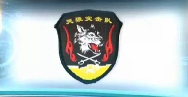 揭秘蛟龙突击队臂章高清图，荣耀与使命的象征，揭秘蛟龙突击队臂章，荣耀与使命的象征，高清图欣赏
