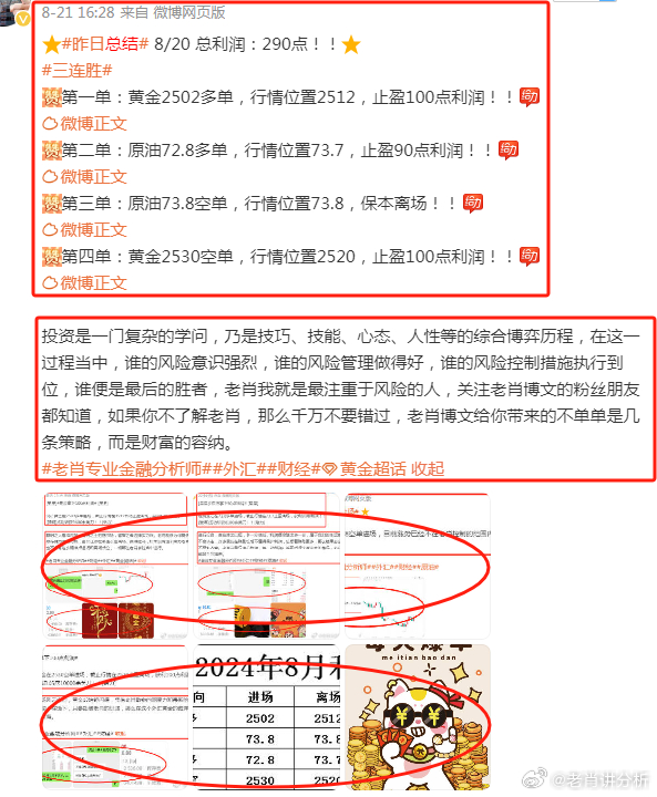 香港王中王必一肖——探寻命运之轮的奥秘，香港王中王必一肖，命运之轮的奥秘探寻