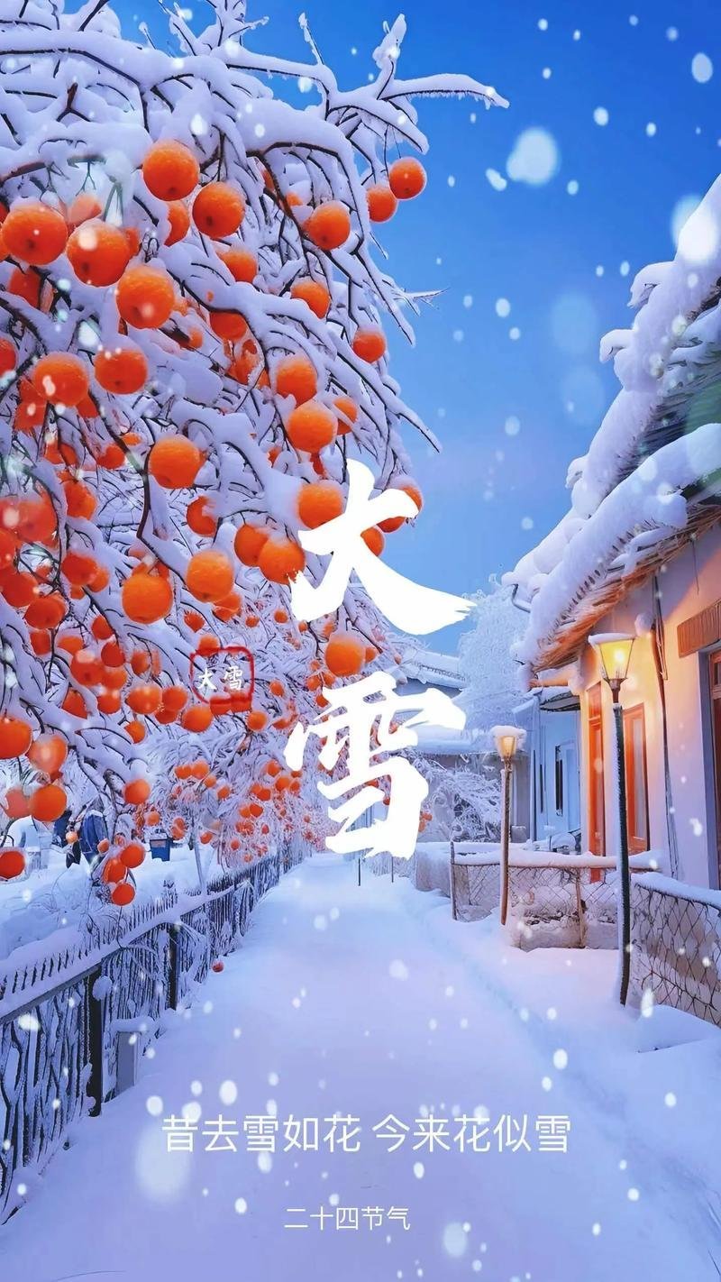 今日大雪纷飞，世界银装素裹，今日大雪纷飞，世界一片银装世界