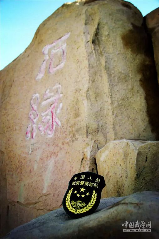 中国武警特战臂章，荣耀与使命的象征，中国武警特战臂章，荣耀与使命的徽章