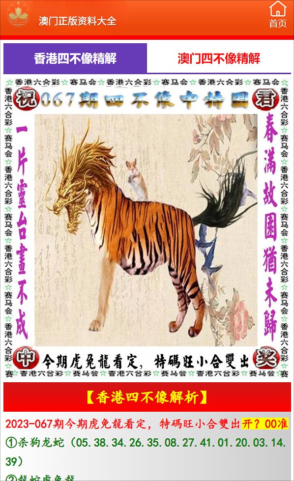 澳门老鼠报一肖一码，揭秘背后的故事与真相，澳门老鼠报一肖一码揭秘背后的真相与故事