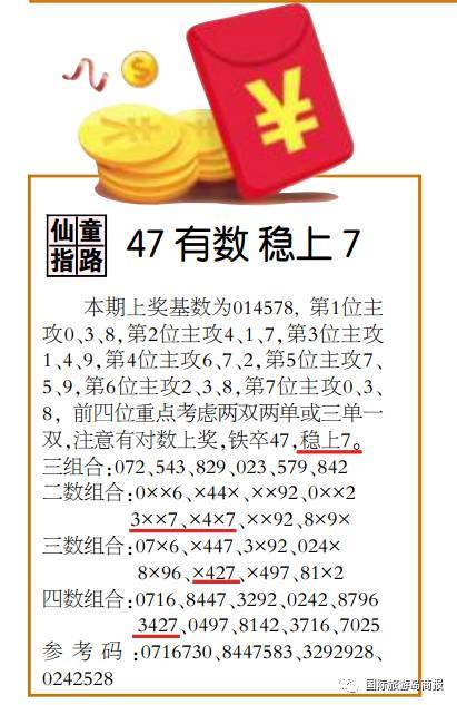 王中王4487一肖中特的神秘魅力与独特之处，王中王4487一肖中特的独特魅力与神秘风采揭秘