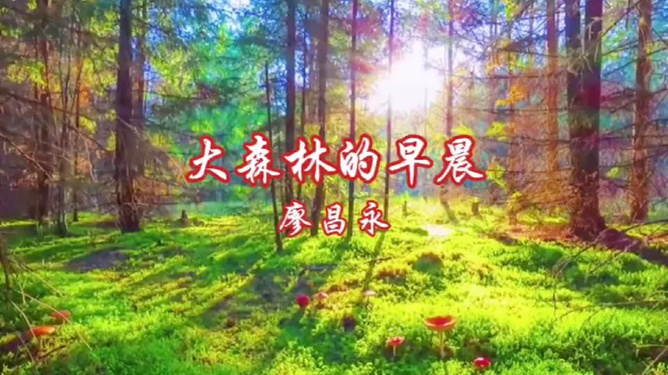 茂密森林中的王者猜谜——揭秘生肖之王，森林生肖谜题揭晓，揭秘生肖之王猜谜之旅