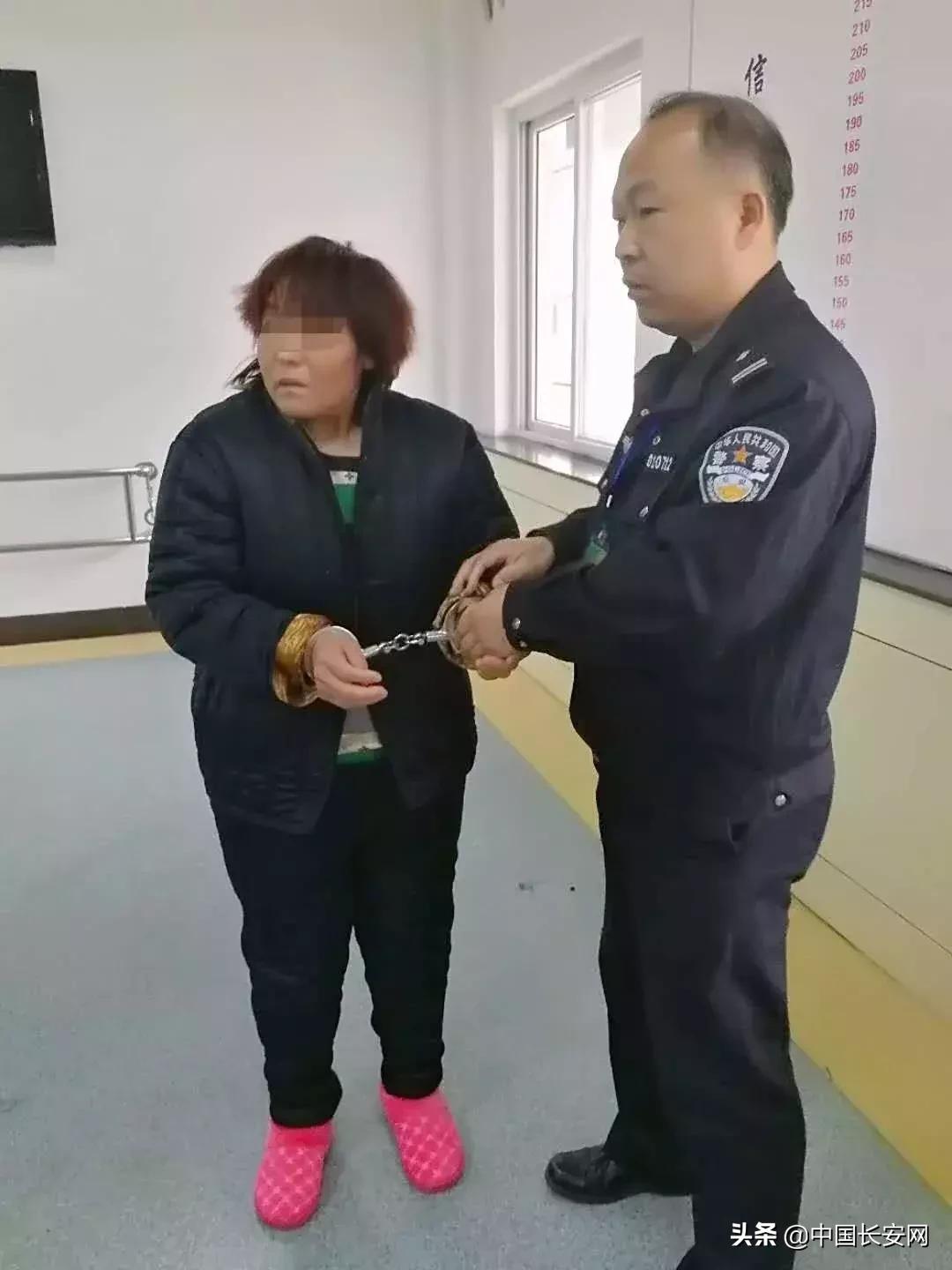 关于40军被裁后的去向的文章，揭秘，40军裁军后的去向揭秘