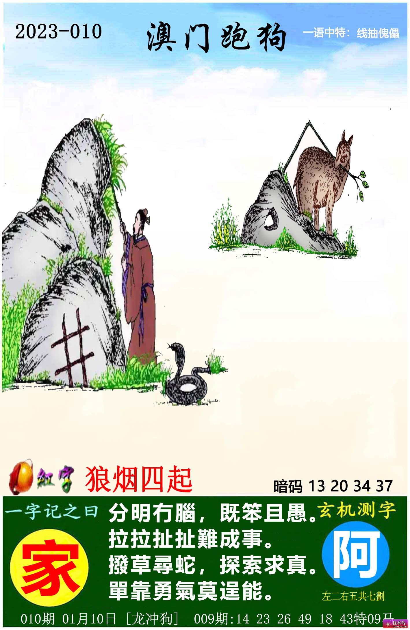 澳门今天新版跑狗图的探索与解析，澳门今日新版跑狗图深度探索与解析