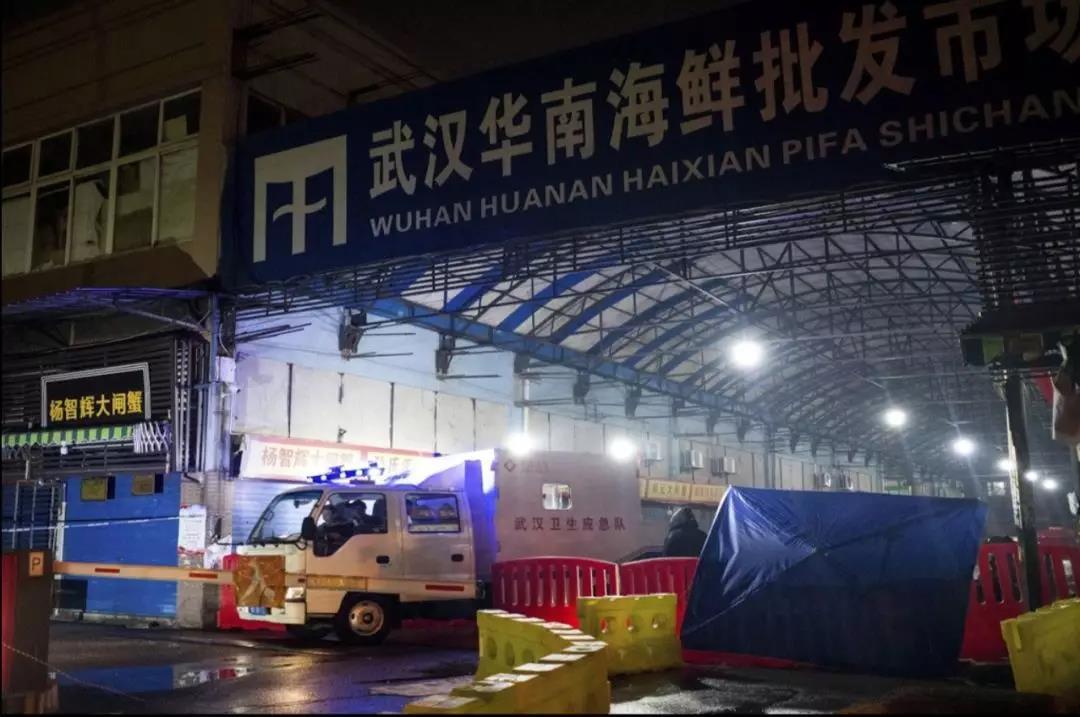 武汉华南海鲜市场女老板照片背后的故事，武汉华南海鲜市场女老板背后的故事揭秘