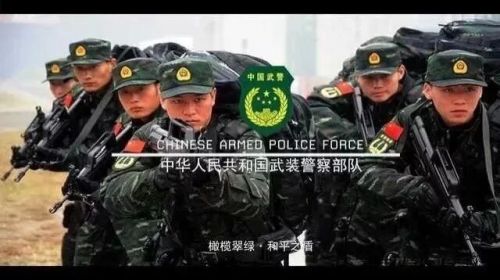 武警改革后还剩哪些兵种，武警改革后剩余兵种概述