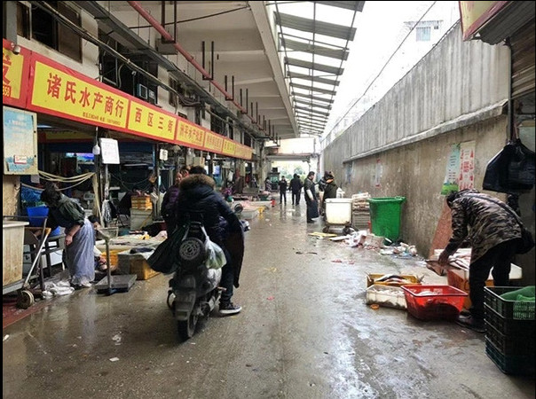 华南海鲜市场事件，探究背后的真相与反思，华南海鲜市场事件真相探究与反思
