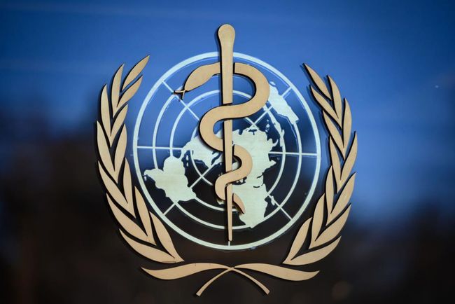 国际新闻快报，2023年5月15日最新国际动态概览，国际新闻快报，最新国际动态概览（2023年5月15日）