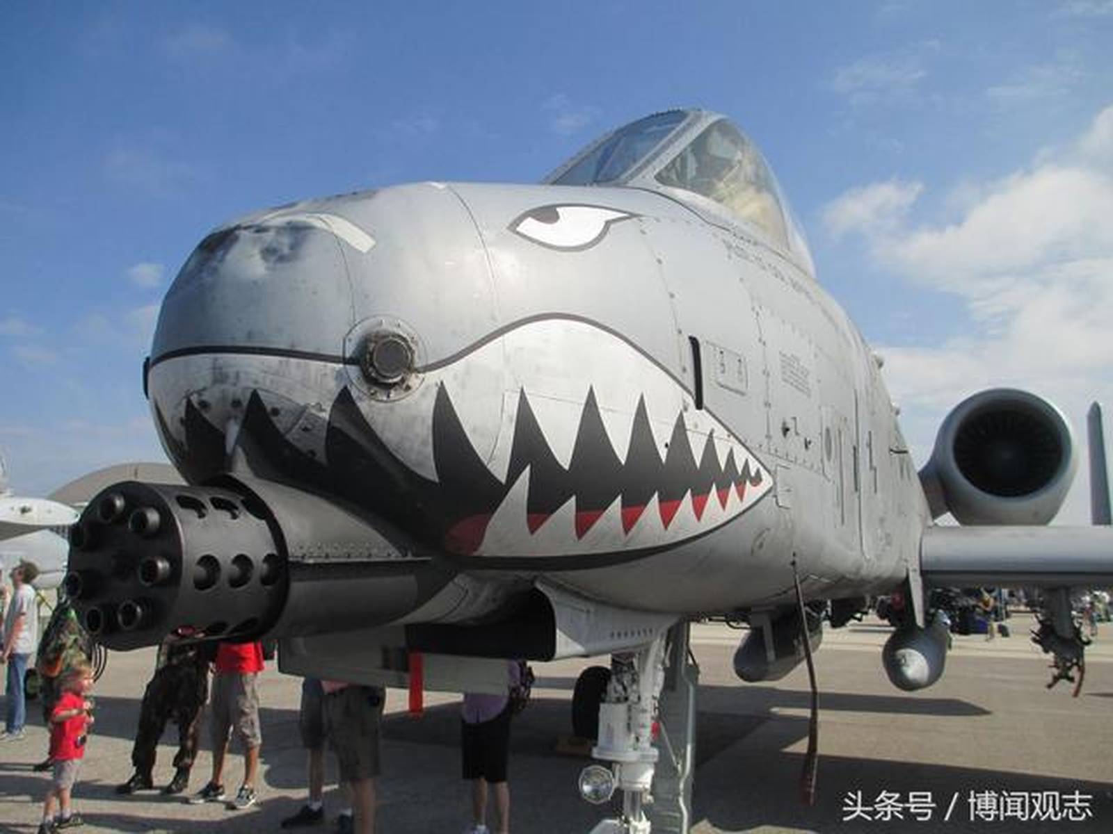 A-10犹猪攻击机的传奇与威力，A-10犹猪攻击机的传奇与震撼威力