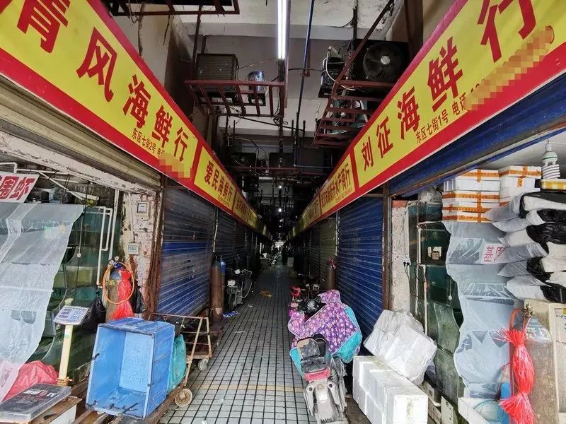 华南海鲜市场老板揭秘，一位成功商人的故事，华南海鲜市场老板成功之路揭秘，一位商人的奋斗故事
