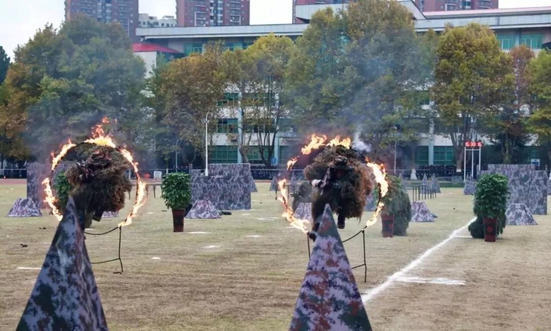空军航空大学的卓越水平，培养精英人才的摇篮，空军航空大学卓越教育水平，精英人才的摇篮