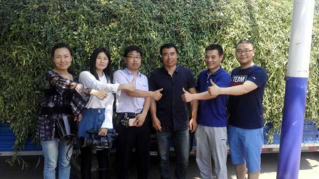 新闻央视网，引领新闻传播的先锋力量，央视网，引领新闻传播的先锋号角