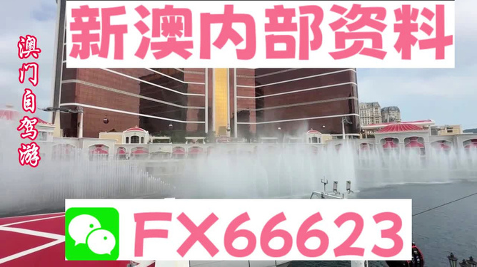 精准一码免费资料大全，探索与利用，精准一码免费资料大全，探索与利用的秘密