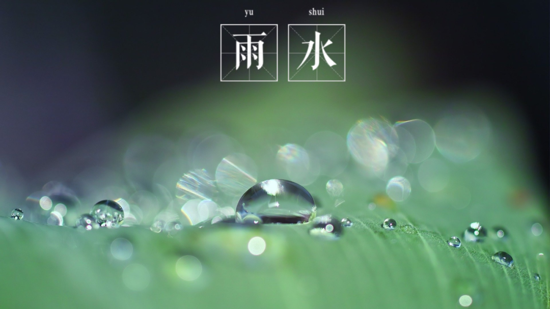 今日雨水图片，自然之美的独特展现，今日雨水图片，自然之美的独特展现