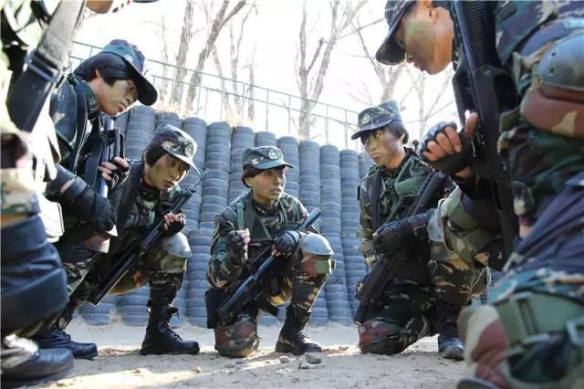 当兵多久可以进特种部队，解析特种部队选拔之路，揭秘特种部队选拔之路，新兵需多久可进入？