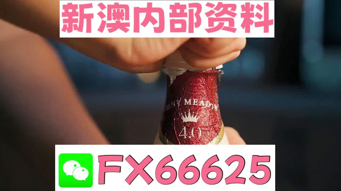 新澳门一码一码，探索100%准确性的可能性，澳门一码一码，探索百分之百准确率的奥秘