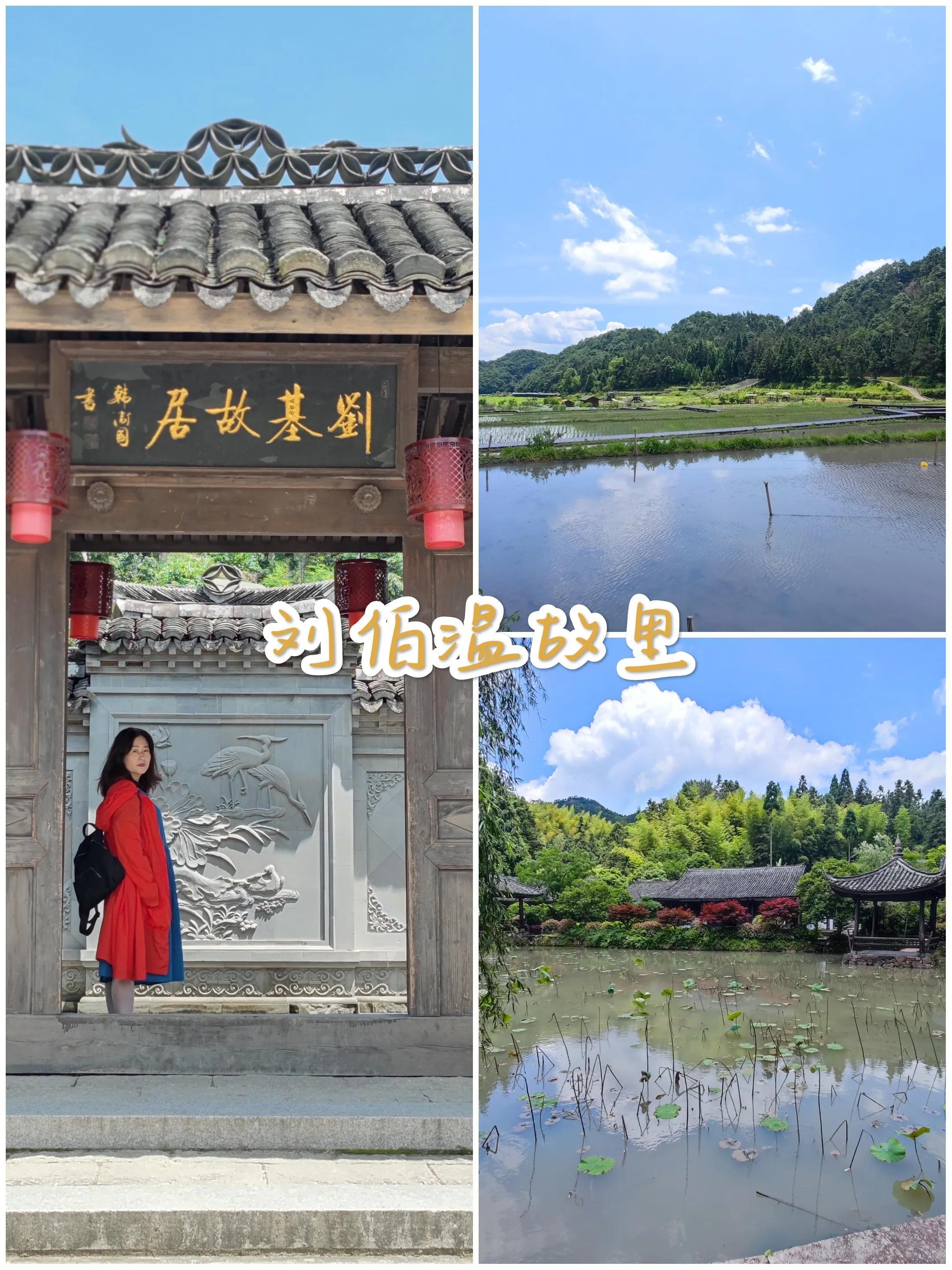 刘伯温全年四肖选一肖资，策略、智慧与预测的魅力，刘伯温四肖选一肖策略，智慧、预测魅力与全年运势探讨