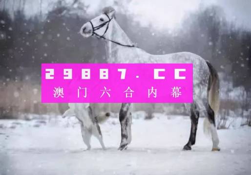 澳门精准一肖一码精准确，探索与解析，澳门精准生肖码探索与解析