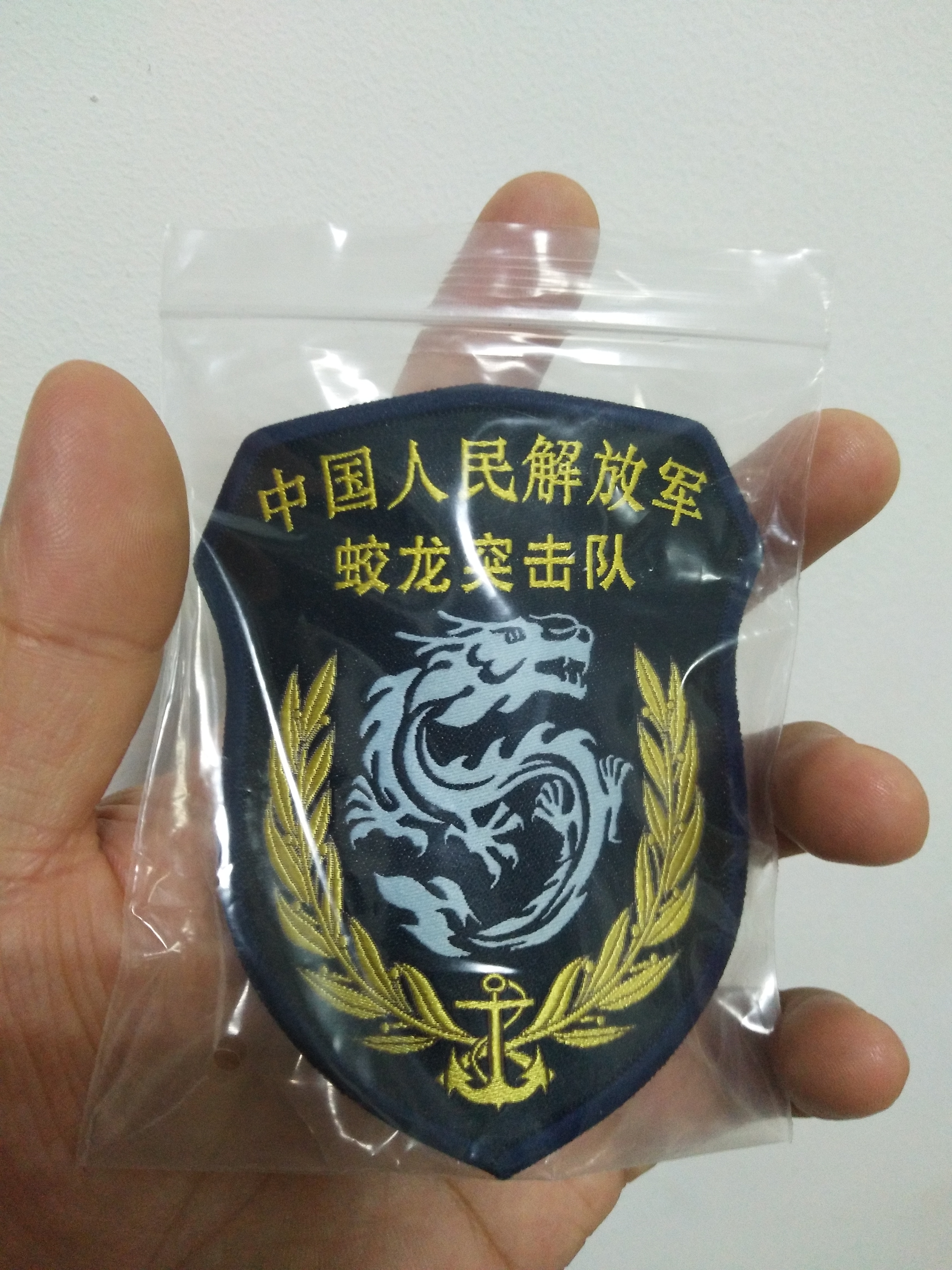 蛟龙突击队臂章矢量图，荣誉的象征与力量的展现，蛟龙突击队臂章矢量图，荣誉与力量的象征
