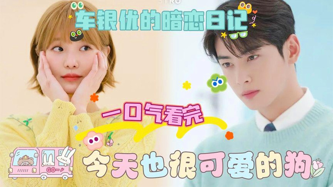 今天也很可爱的狗韩剧，免费观看的魅力与乐趣，今日必追韩剧，探索免费观看狗剧的魅力与乐趣