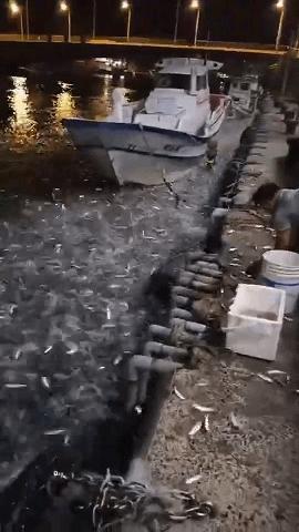台湾昨天地震，影响与启示，台湾昨日地震，影响与反思