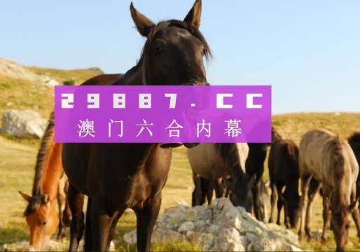 解析指南