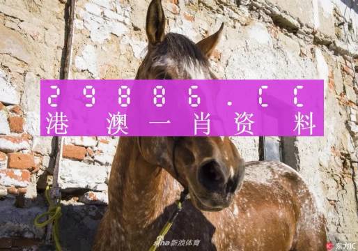 王中王四肖选一码首页，探索彩票预测的魅力与策略，王中王四肖选一码首页，彩票预测的魅力与策略探索